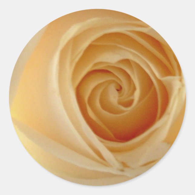 Adesivo Rosas (Frente)