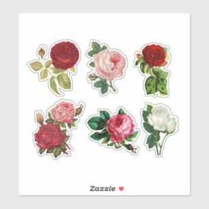 Adesivo Rosas