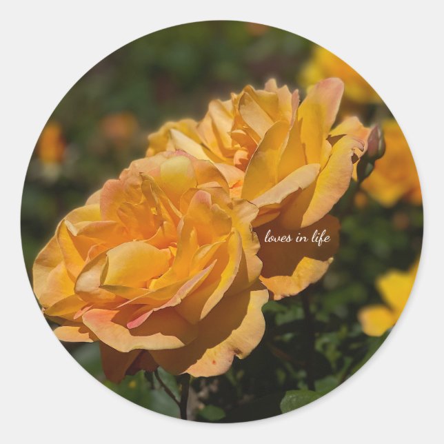 Adesivo Rosas Amarelas  (Frente)