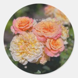 Adesivo Rosas Amarelas e Rosas Bonitas
