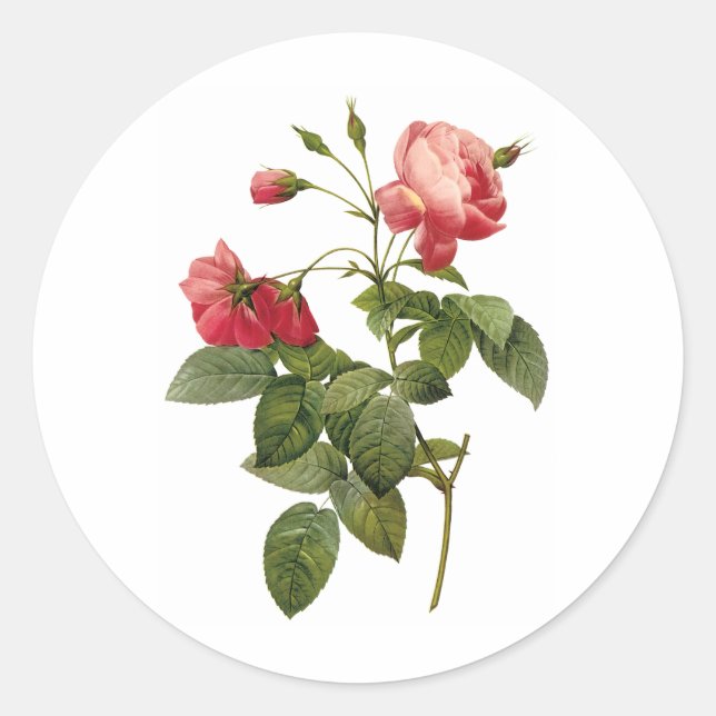 Adesivo Rosas bonito (Frente)