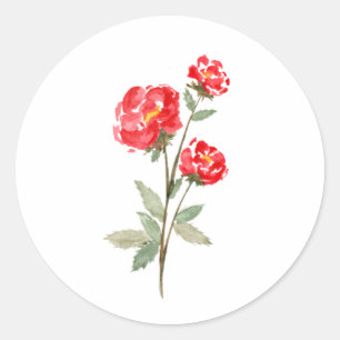 Adesivo Rosas de cor vermelha minimalista