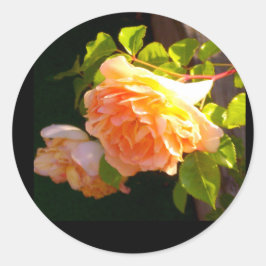 Adesivo Rosas de Pêssego do País