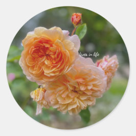 Adesivo Rosas de Pêssego também