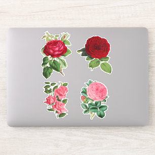 Adesivo Rosas de Vintage, colagem de 4 peças, vermelho e 