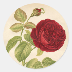 Adesivo Rosas do vintage