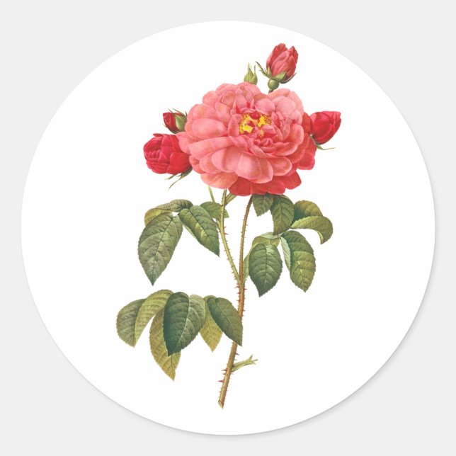 Adesivo Rosas/redoute vitorianos do PixDezine (Frente)