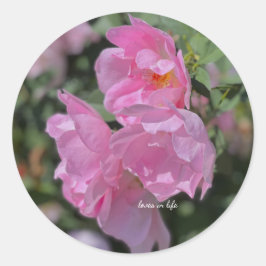 Adesivo Rosas Rosas claro adoráveis