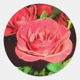 Adesivo Rosas vermelhas
