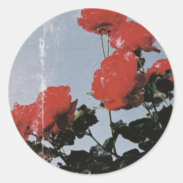Adesivo Rosas Vermelhas Antigas Contra um Céu Azul