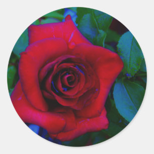 Adesivo Rosas vermelhas com tons azuis