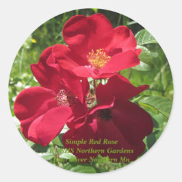 Adesivo Rosas vermelhas simples