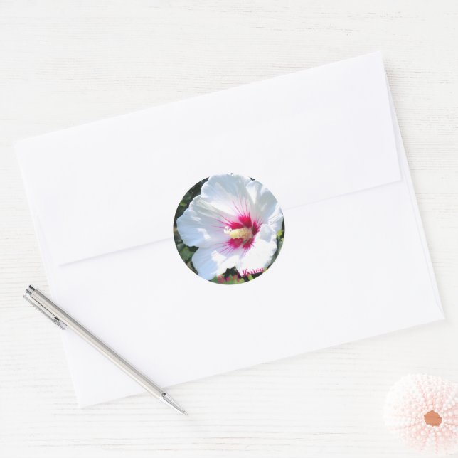 Adesivo Rose of Sharon [Round Seal] (Envelope)