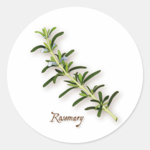 Adesivo Rosemary Herb Round Stickers