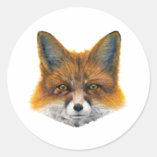 Adesivo Rosto de raposa - Pintura em acrílico
