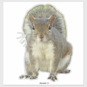 Adesivo Rosto face a face