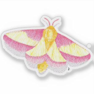 Adesivo Rosy Maple Moth