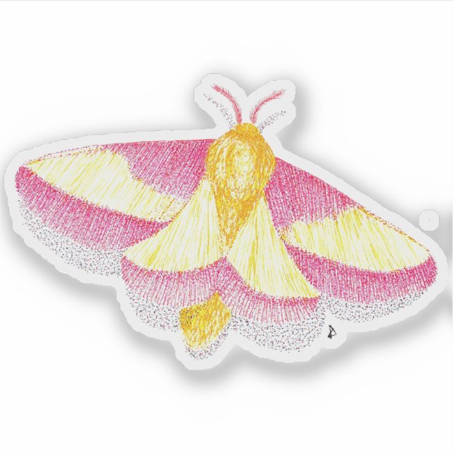 Adesivo Rosy Maple Moth (Frente)