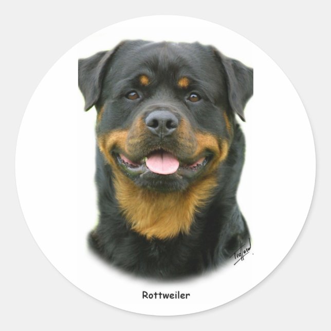 Adesivo Rottweiler (Frente)