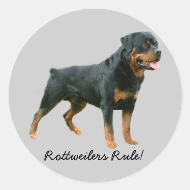 Adesivo Rottweiler (Frente)