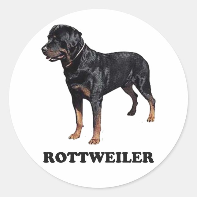 Adesivo Rottweiler (Frente)