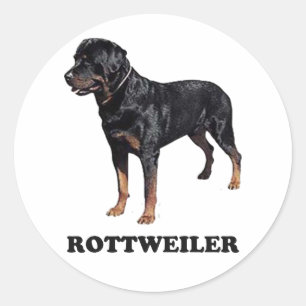 Adesivo Rottweiler
