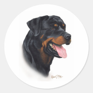 Adesivo Rottweiler