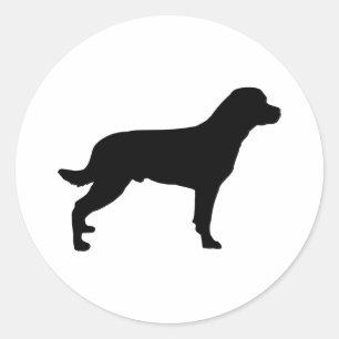 Adesivo Rottweiler