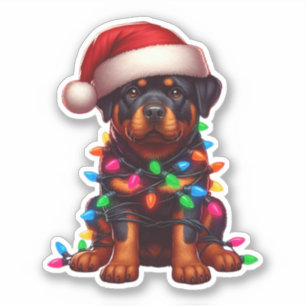 Adesivo Rottweiler de Natal giro