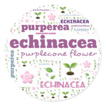 RÓTULO DA PALAVRA HERBS/VEGETABLE - PURPLECONE