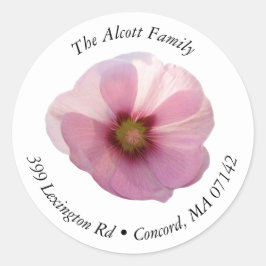 Adesivo Rótulo de Endereço Redondo da Flor Hollyhock Rosa 