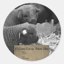 Rótulo dos borregos de Natal