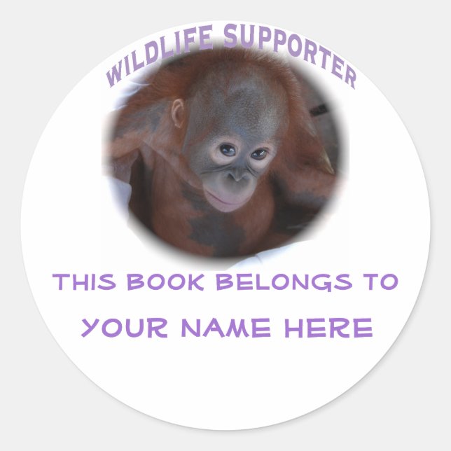 Adesivo Rótulo "Este livro pertence a" (Frente)