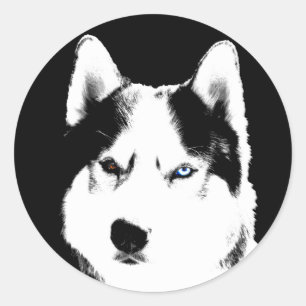 Adesivo Rouco Stickers Siberian Husky Malamute Stickers