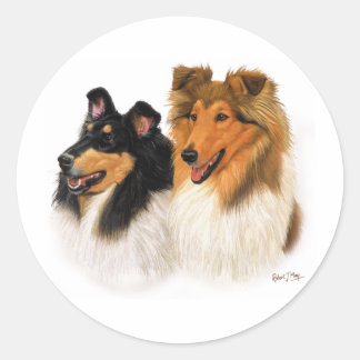 Adesivo Rough Collie
