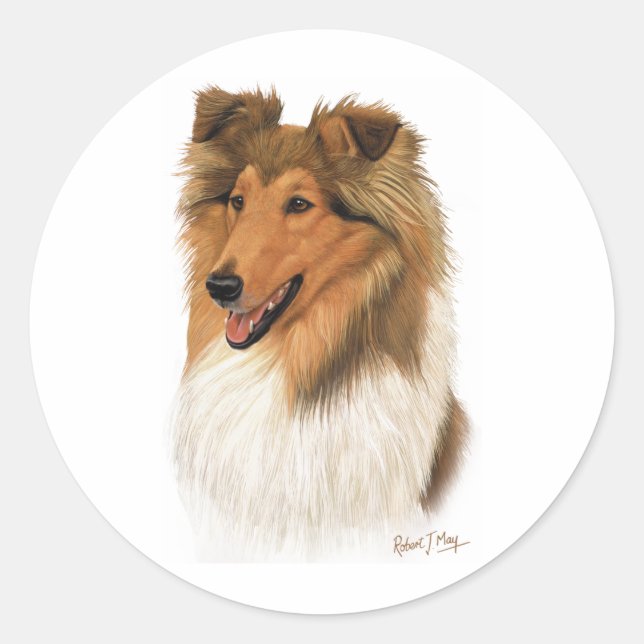 Adesivo Rough Collie (Frente)