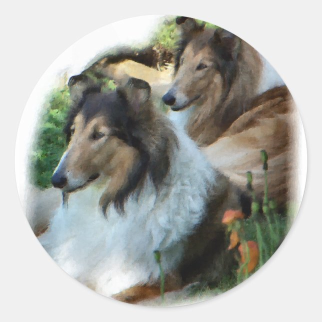 Adesivo Rough Collie Art Gifts (Frente)