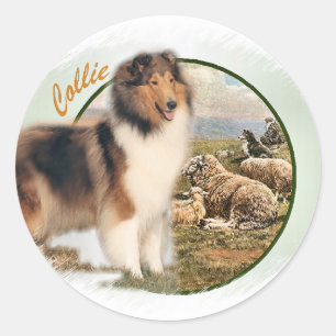 Adesivo Rough Collie Keeper da ovelha