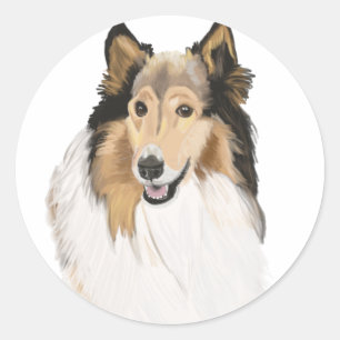 Adesivo Rough Collie, Retrato Collie de Longa Cabeça