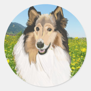 Adesivo Rough Collie, Retrato Collie de Longa Cabeça