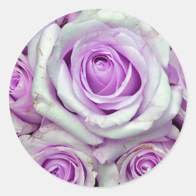 ADESIVO ROXO (Frente)