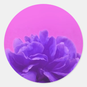 Adesivo Roxo e arte floral da framboesa