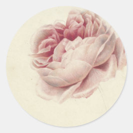 Adesivo Roze Roos (1792) – Arte Botânica Vintage Atemporal