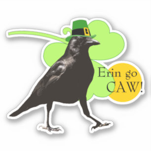 Adesivo Rua do dia de Patrick Leprechaun Crow Pun Erin Go
