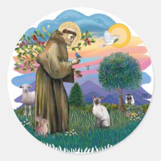 Adesivo Rua. Francis / Ponto Azul Siamês