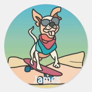 Adesivo Rua Retro Cachorro com Óculos Solares no skate