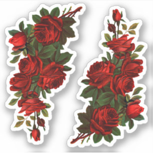 Adesivo Ruas. Rosas do Dia de George (fL)