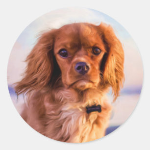 Adesivo Ruby Cavalier King Charles Spaniel Dog