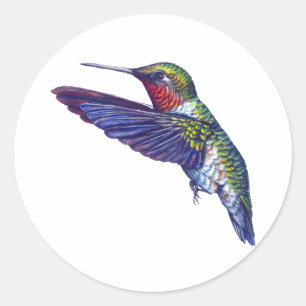 Adesivo Ruby Throated Hummingbird