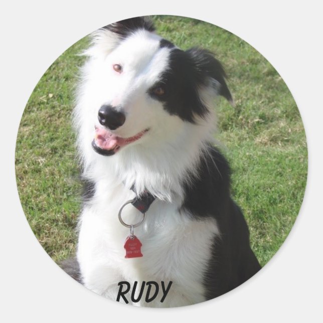 ADESIVO RUDY (Frente)
